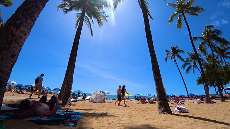 ハワイの風景素材 ビーチ 無料動画素材てれそ